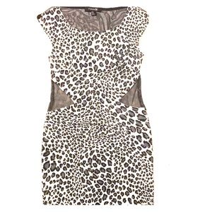 Forever 21 Leopard Print Dress